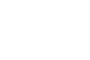DSM