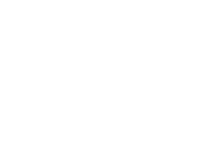 IVM